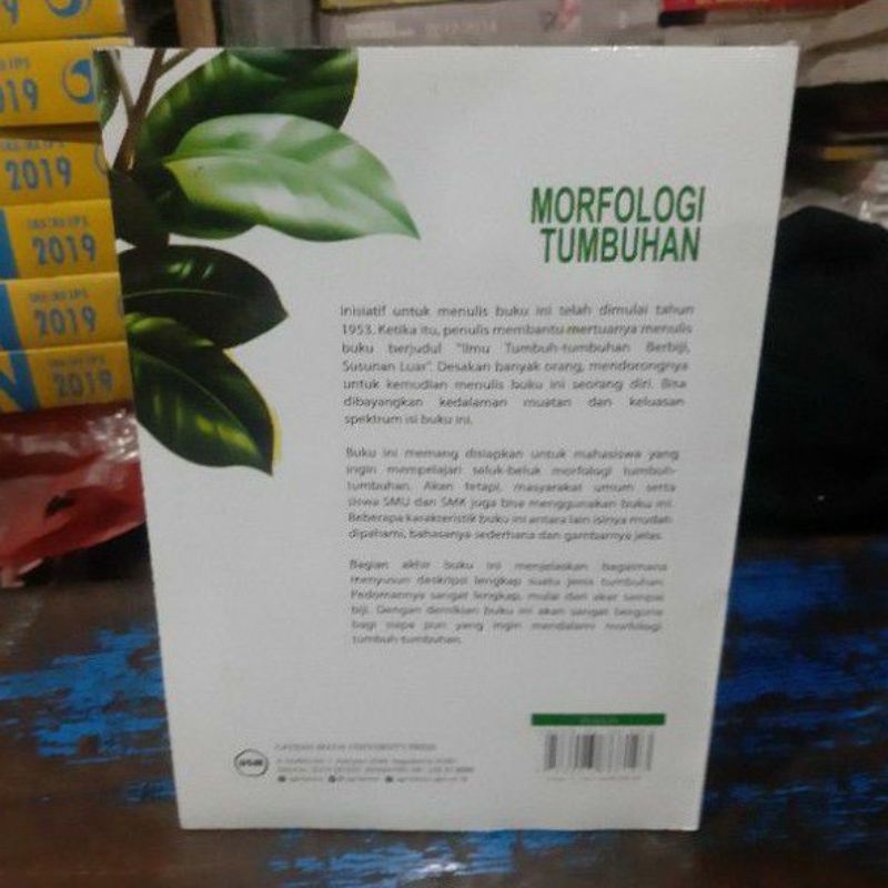 Morfologi Tumbuhan KERTAS HVS PUTIH Penulis : Gembong Tjitrosoepomo-1