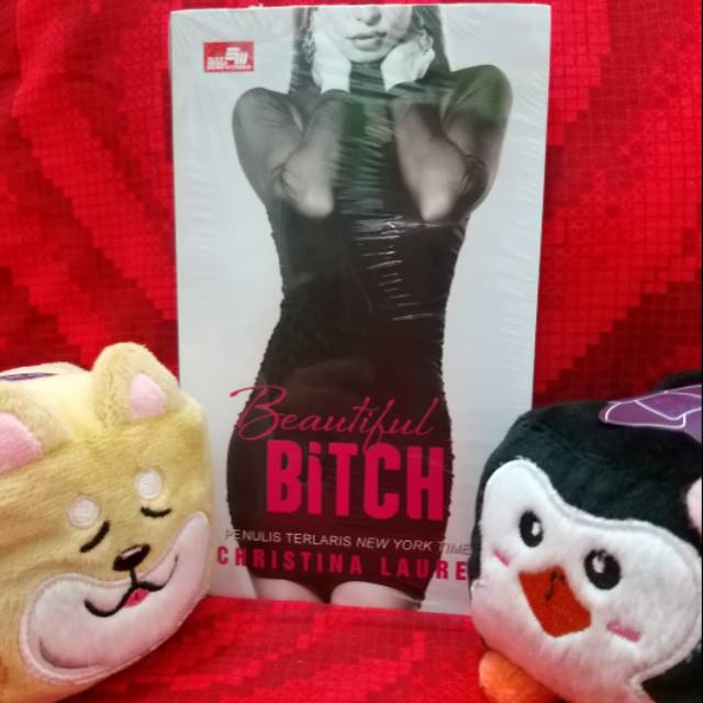 Novel Beautiful Bitch