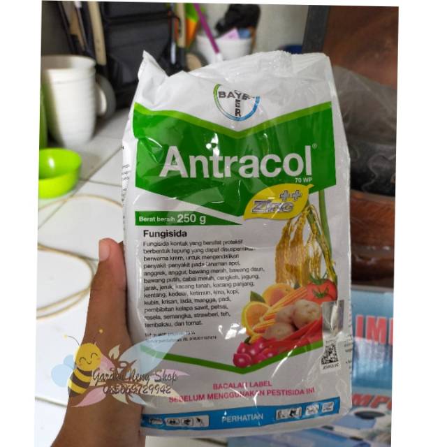 Fungisida Antracol 70 Wp 250 Gram Gr Obat Tanaman Jamur Untuk Anggrek Dan Tanaman Lain Shopee Indonesia