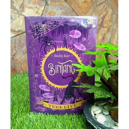 Novel Bintang tere liye