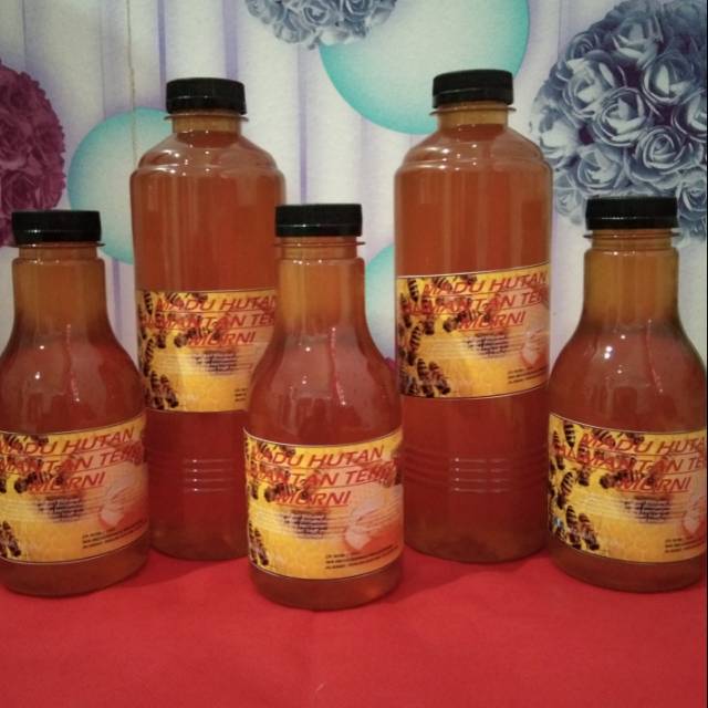 

Madu hutam asli dari kalimantan tengah