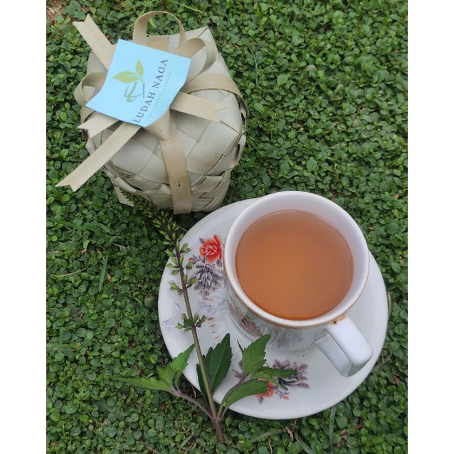 

OBAT HERBAL TRADISIONAL KENCING MANIS (OBAT DIABETES)