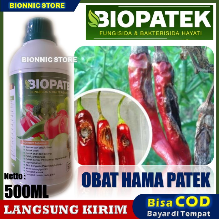 500 ml BIOPATEK Fungisida &amp; Bakterisida Hayati Obat Patek Tanaman Cabe, Obat Patek Cabe Rawit, Obat Patek Terlaris Nopatek Murah Paling Ampuh dan Manjur Mengatasi Hama Patek Cabe Cabai