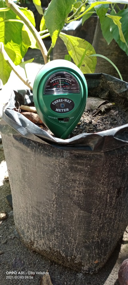 Digital Soil Tester Meter 3 In 1 Alat Ukur Ph Moisture Sunlight Tanah