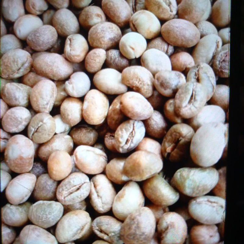 

Kopi peaberry asli produksi Temanggung