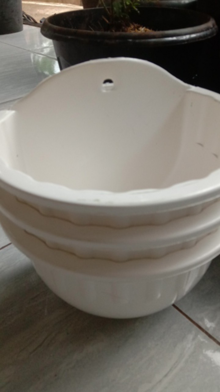 Pot Bunga Tembok Putih 19cm - Putih