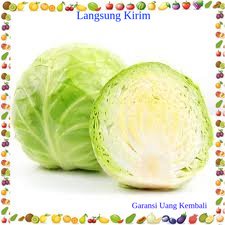 

Kubis Sayur Mayur Buah Buahan Bersih Fresh Souvenir