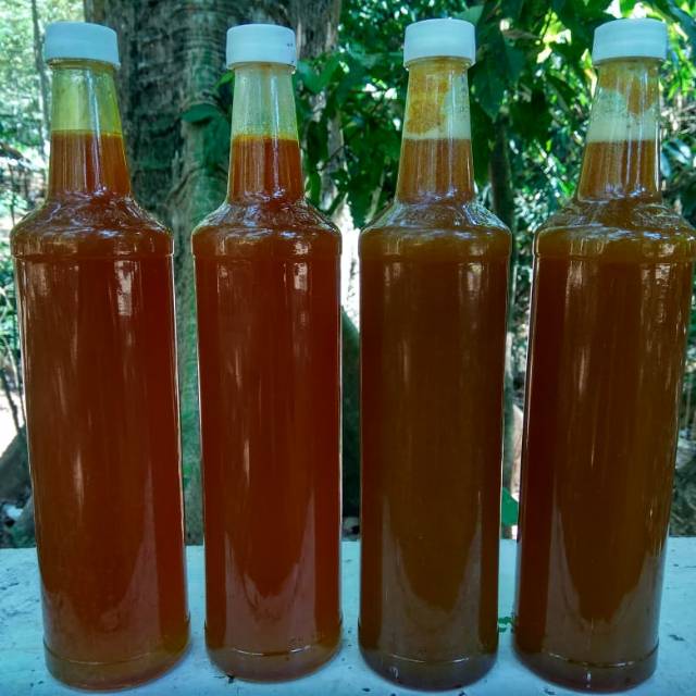 

Madu jawa dan madu ternak
