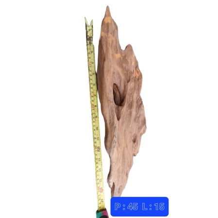 kayu aquascape hutan - tenggelam