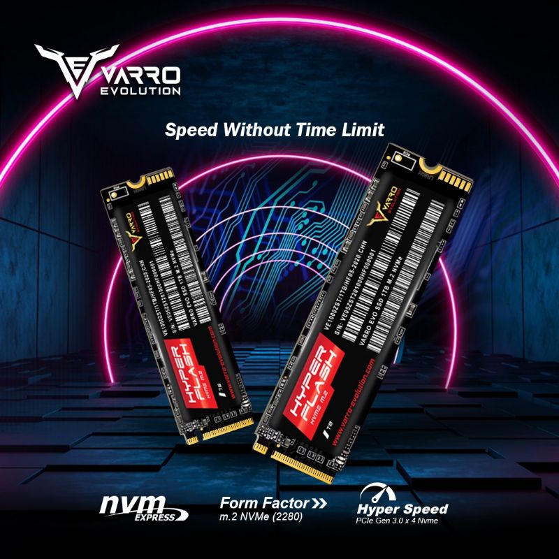 SSD M2 NVME 1TB VARRO