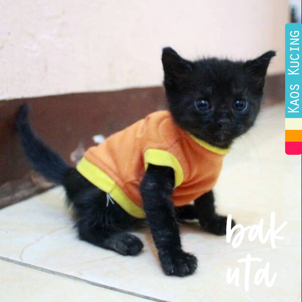 Kaos orange imut untuk kucing &amp; anjing /Jual Baju Kucing Terlengkap &amp; Berkualitas size S-XL