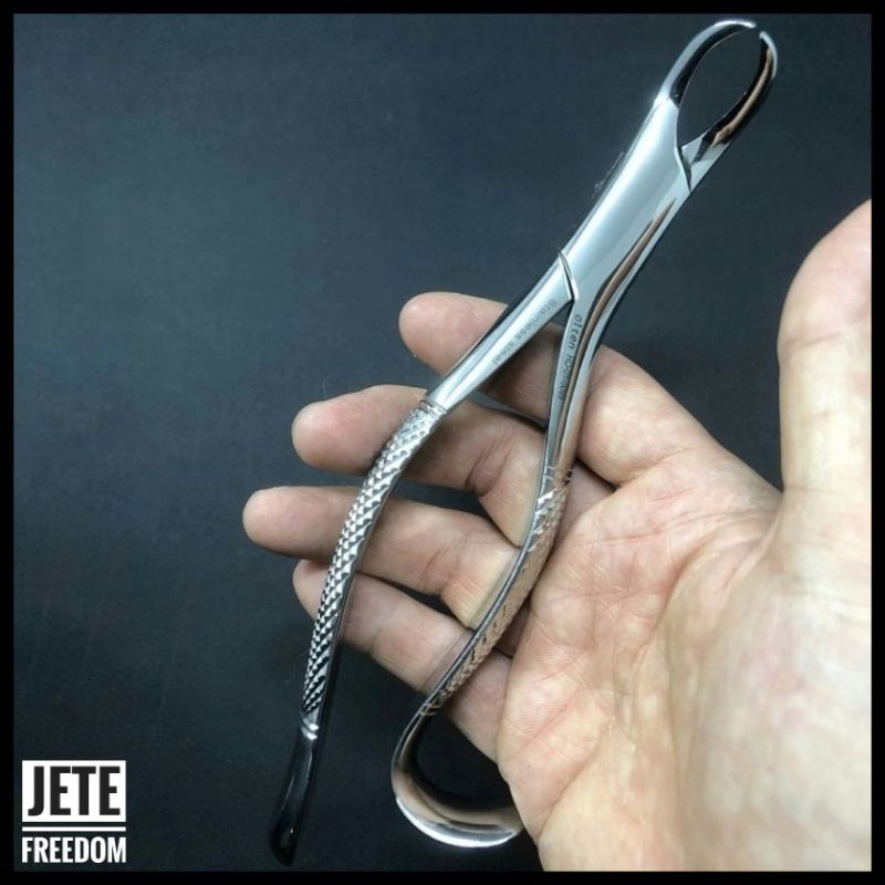 OLTEN Tang Cabut Gigi Geraham Bawah Dewasa Alat Pencabut Gigi Graham Lower Molars Cow Horn Break Men