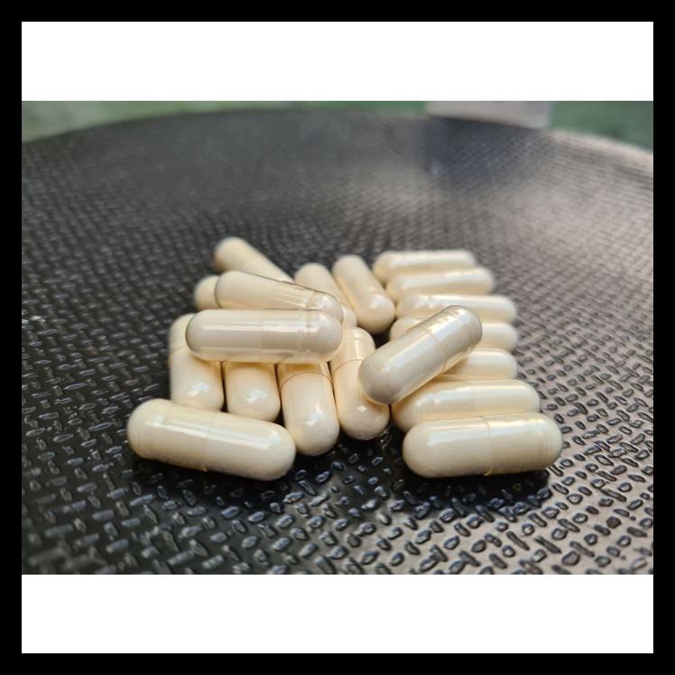 PROMO 30 Kapsul Colostrum Untuk Gemukin Kucing