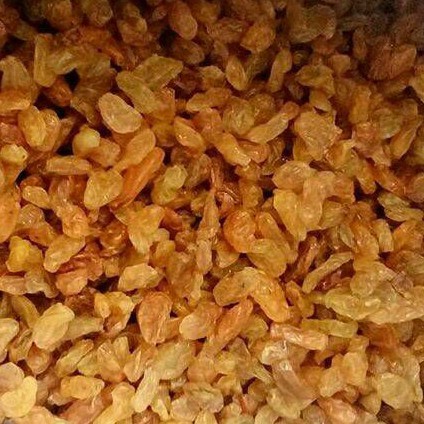 

KISMIS GOLDEN RAISIN KUNING BESAR ASAM 1KG