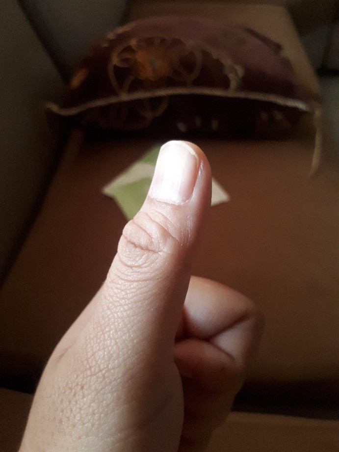 [import] - Termos Kopi Original / Travel Mug Coffee Tahan Air Panas & Dingin Coffee