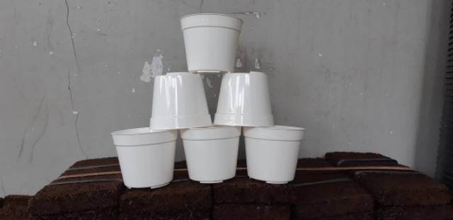 Pot bunga tanaman  plastik PUTIH 10cm - putih