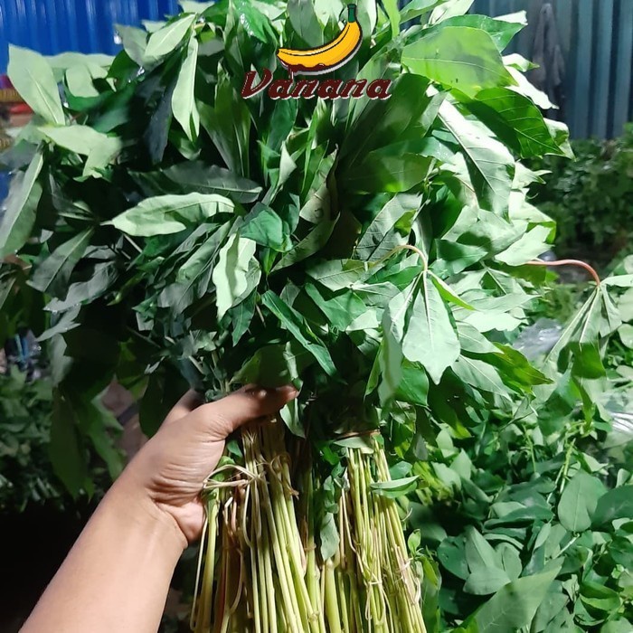 

VANANA Sayur Daun Singkong 1 ikat isi 3pcs