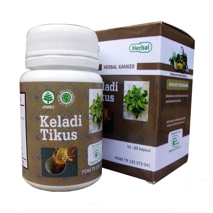 Kapsul Herbal Kanker Keladi Tikus Hiu  Original Herbal Indo Utama