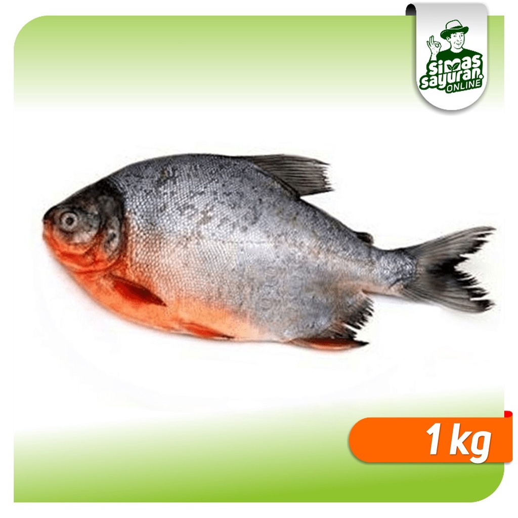 

Ikan Bawal Bersih 1 kg