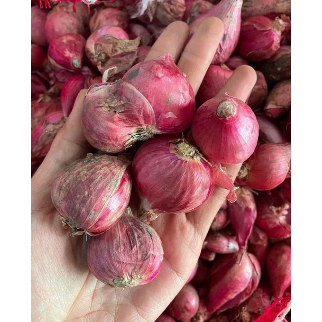 

BAWANG MERAH 500 gram/BAWANG MERAH FRESH