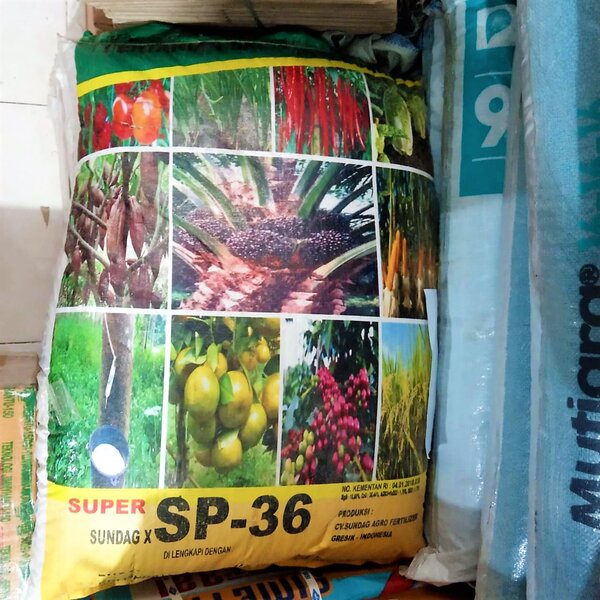 Pupuk GSP Super Phosphate Sundag 50 kg Fosfat Tanaman TSP SP36 SP 36