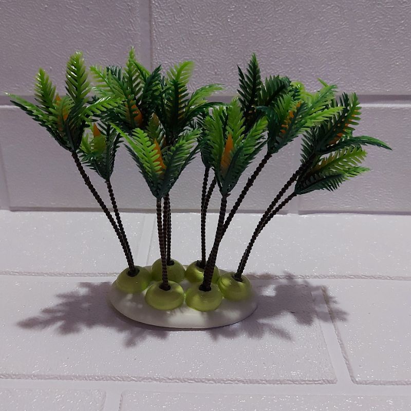 Akuarium Tanaman hias kelapa nyiur cantik akuarium aquascape