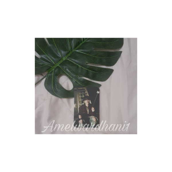 PHOTOCARD TREASURE YEDAM MD KEMPI