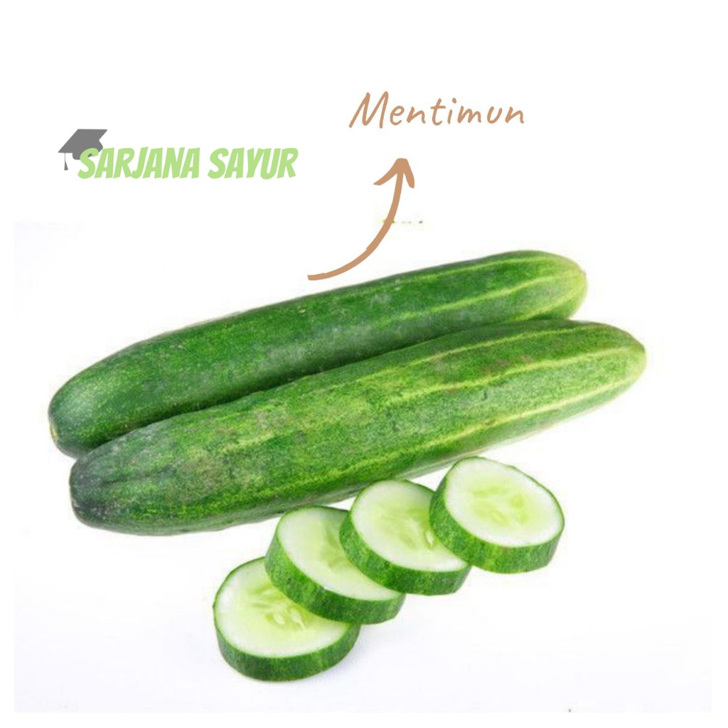 

Mentimun 500gr / Sarjana Sayur