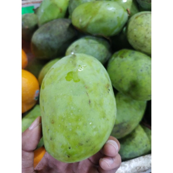 

mangga kweni fresh/mangga kweni cikampek 1kg