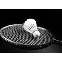 KOK BULU TANGKIS/COCK/BOLA BULU TANGKIS MURAH MERIAH