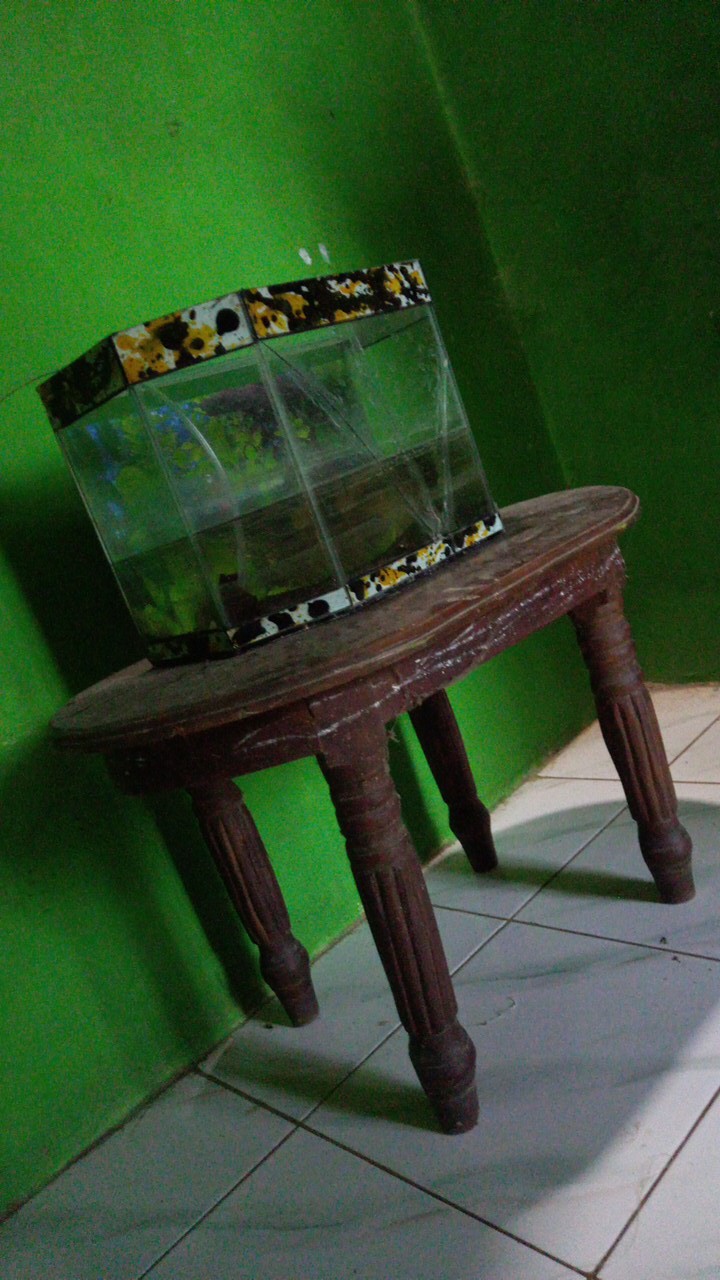 Sunlight Jeruk Nipis 100 ( 210ml / 400ml / 435ml / 750ml / 755ml )