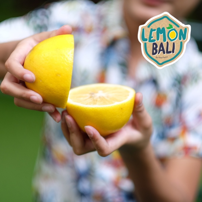 

Lemon Bali Ghia Farms | Buah Lemon | Lemon Lokal Premium | Lemon Premium (Ecer)