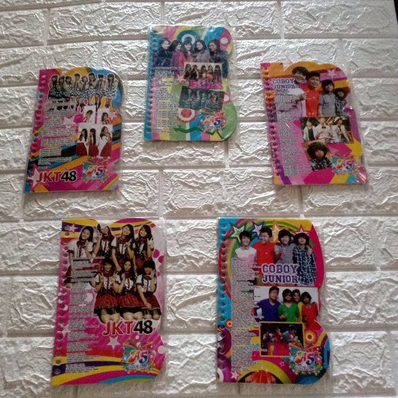 

Isi Binder CJR, Princes, Blink & JKT 48
