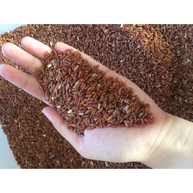 

Beras Merah organik 250 gr