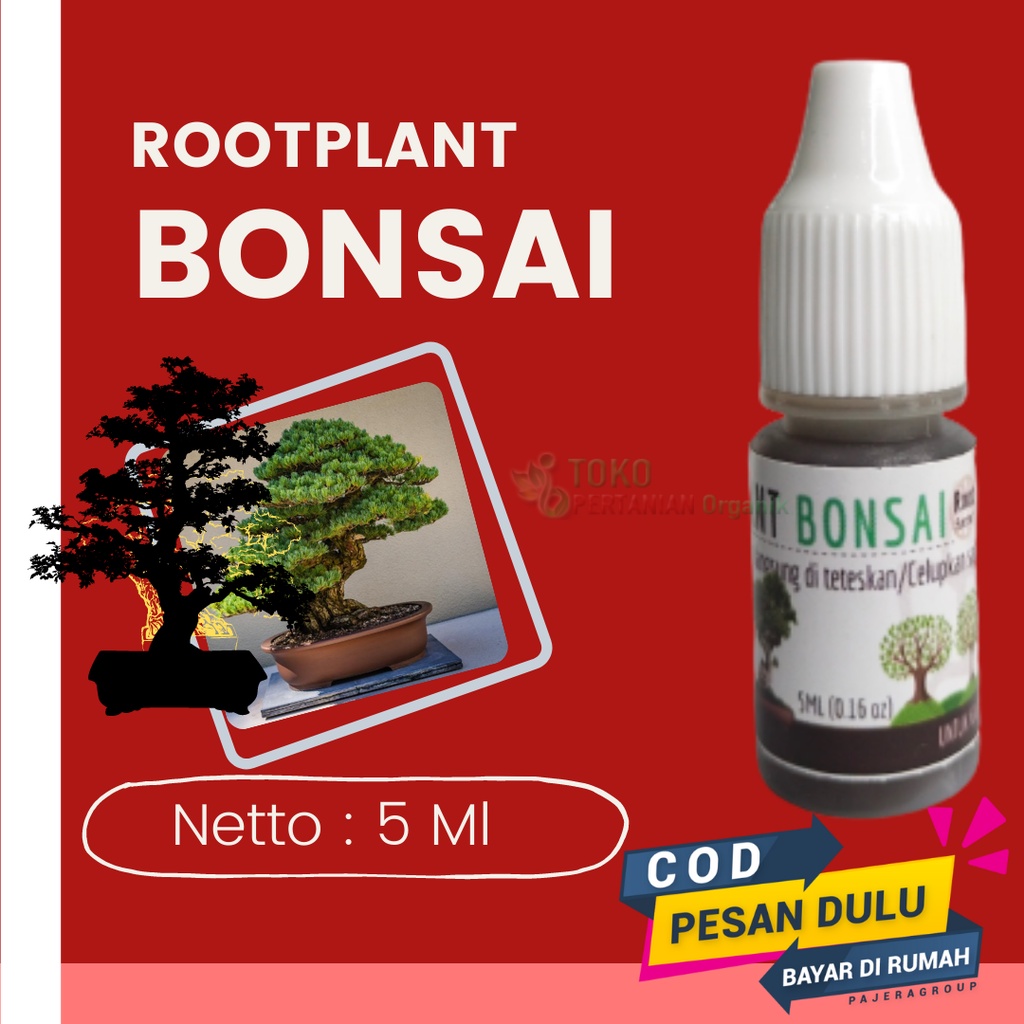 Pupuk bonsai serut, Hormon pertumbuhan bonsai kelapa