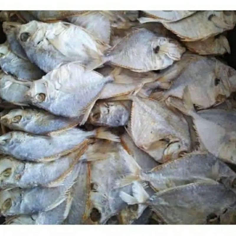 

petek kecil 1kg