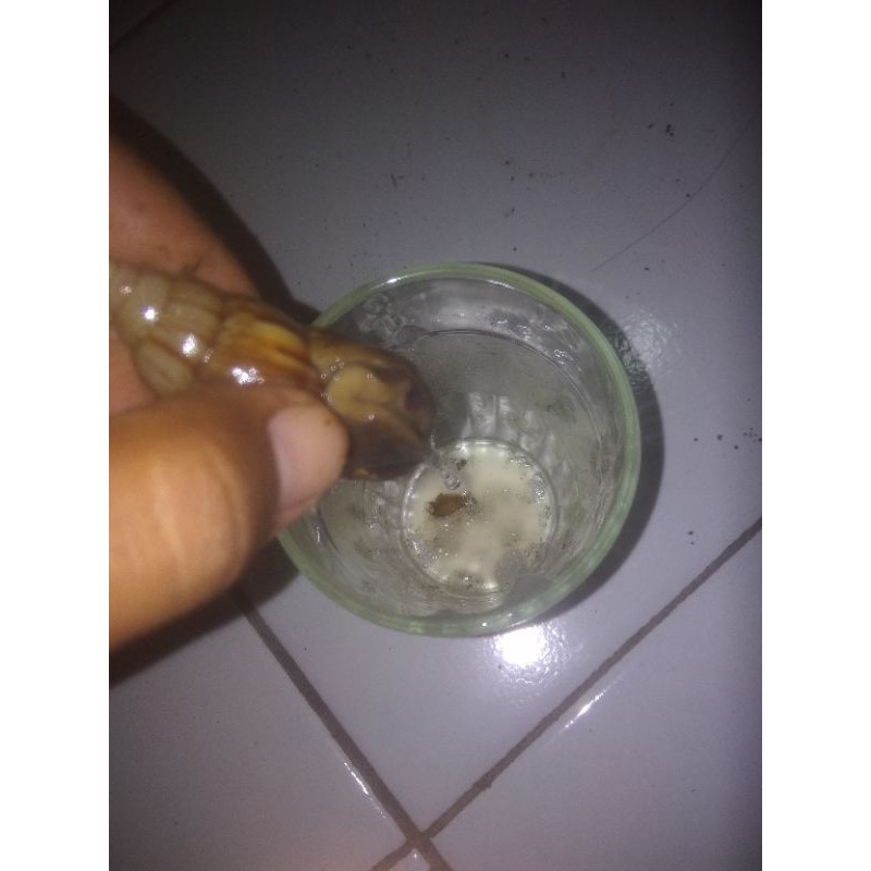 termurah asli lendir bekicot snail slime skincare original fress 50ml pre-order