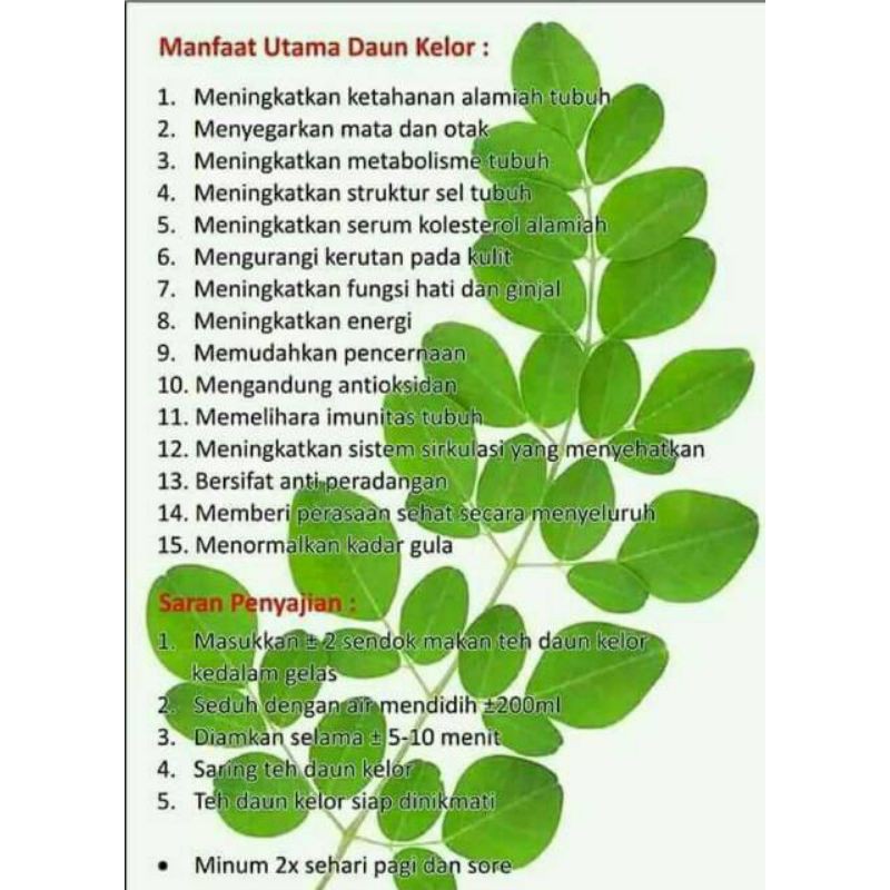 

teh daun kelor
