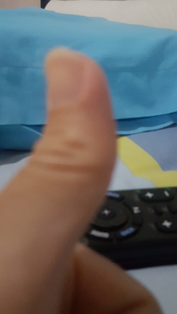 Palmsuiker Pigo 200 Gram Campuran Roti Kue Kopi Dll