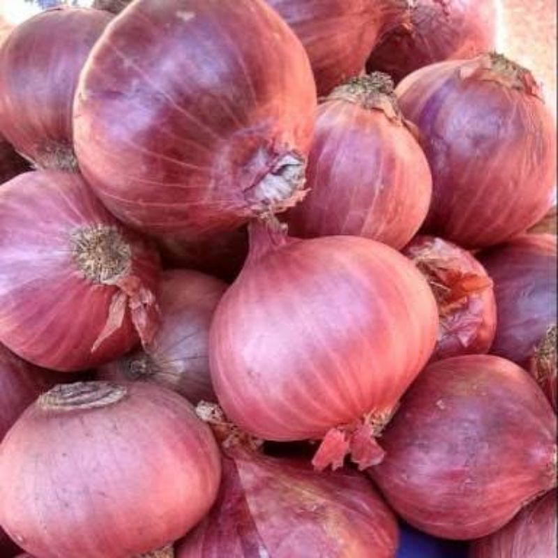

Bawang merah/Bawang merah india/bawang india/brambang india murah