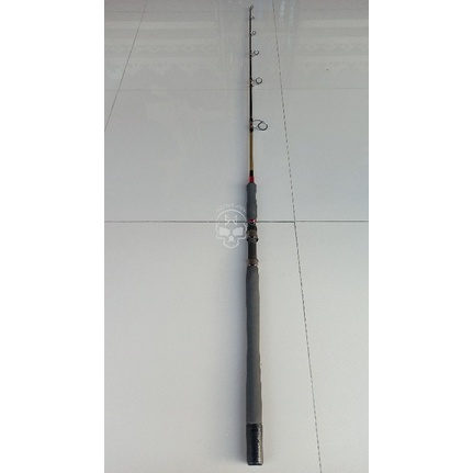 Rod Jigging Eupro Exploder II