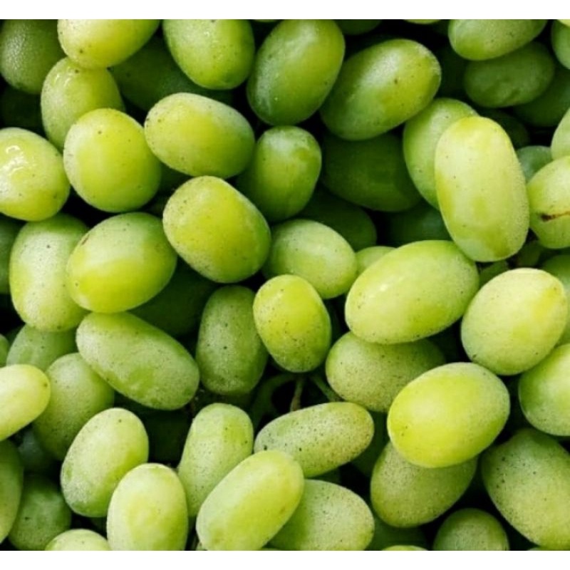 

anggur hijau seedless fresh 1 kg