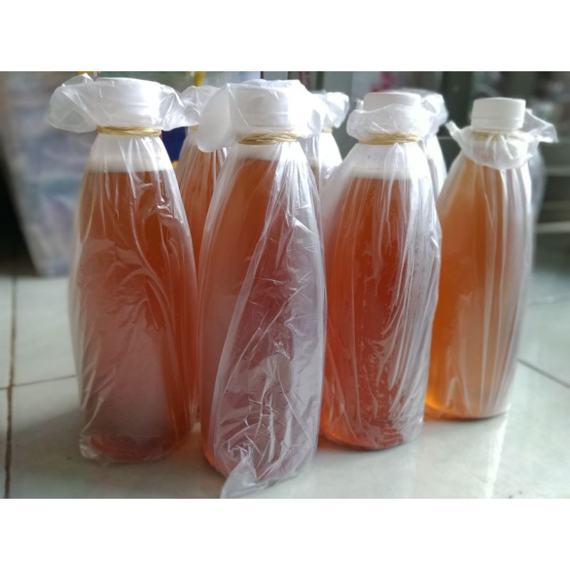 

Madu Tawon Liar