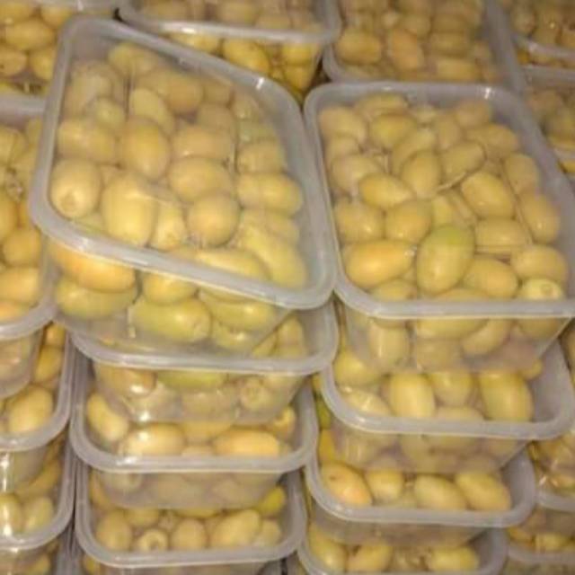 

Kurma muda