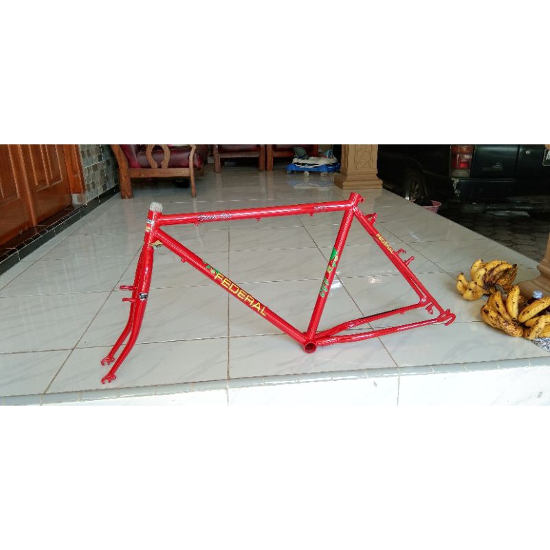 Frame Federal Streetcat550 size 19.5