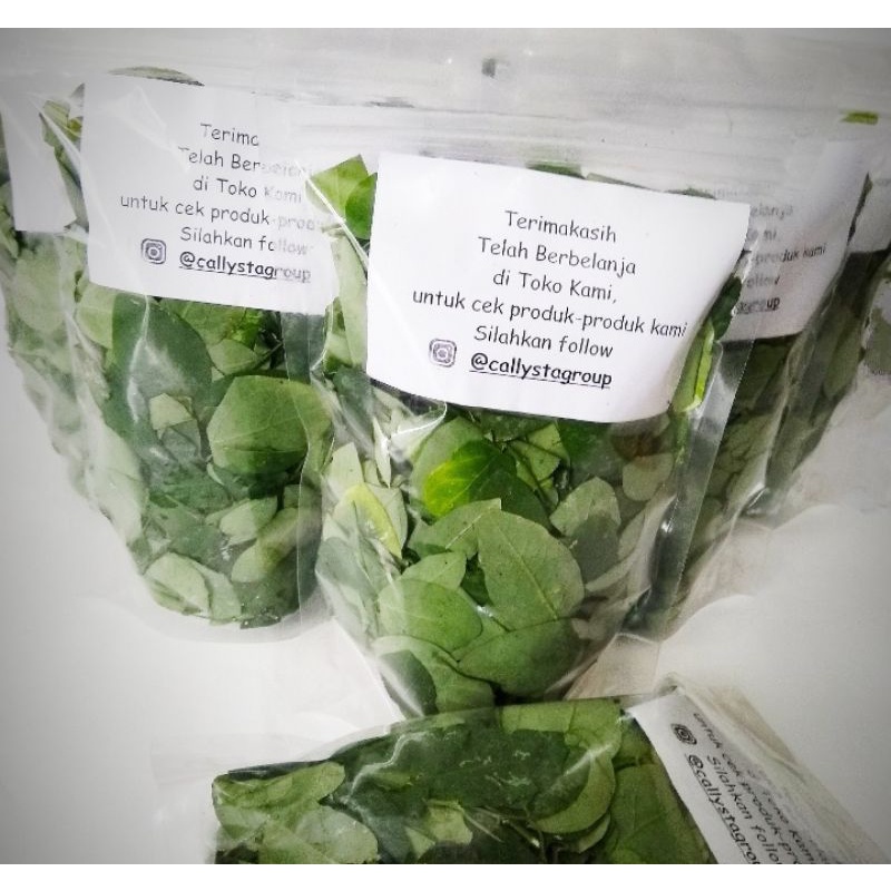 

Daun Katuk Organik Segar 100gr