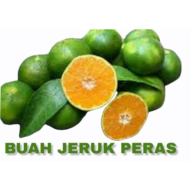 

BUAH JERUK PERAS1KG