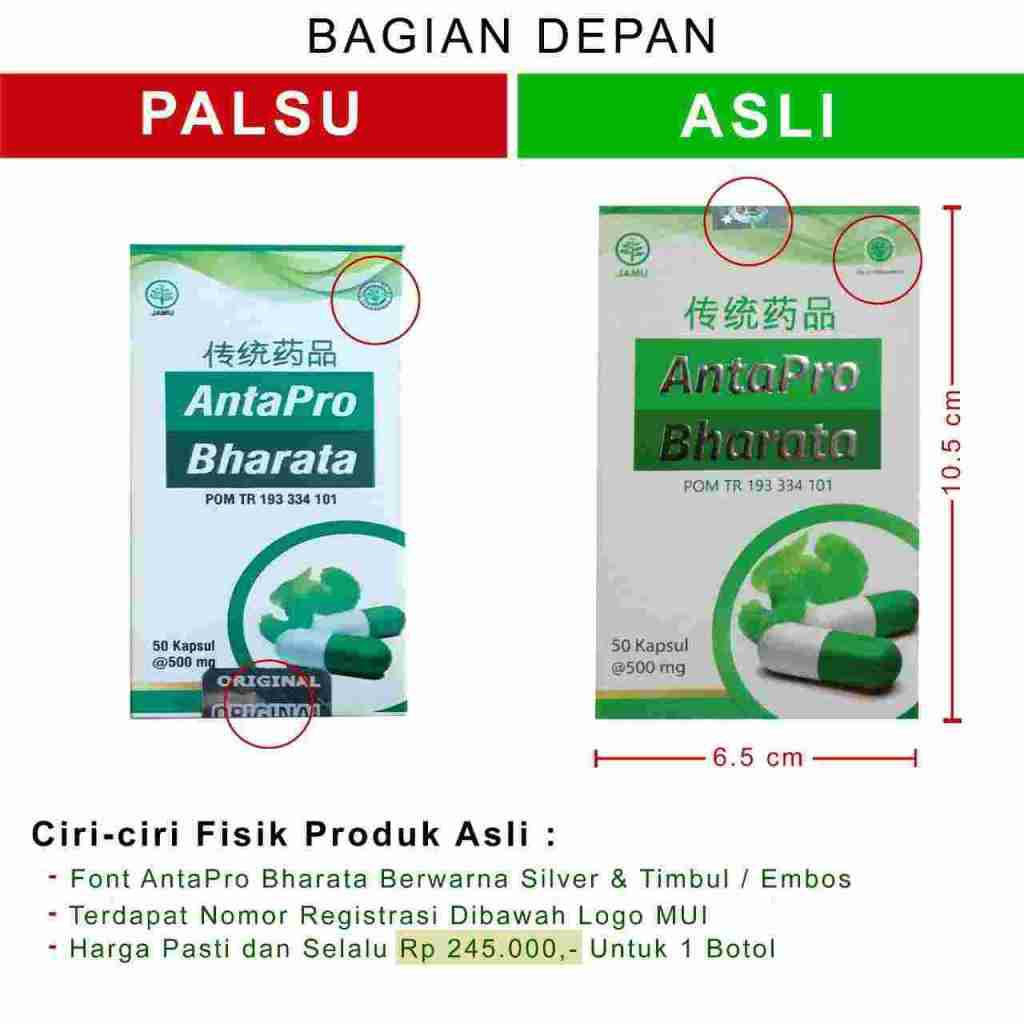 

Obat Kolesterol / Darah Tinggi Terbaik - Antapro Bharata