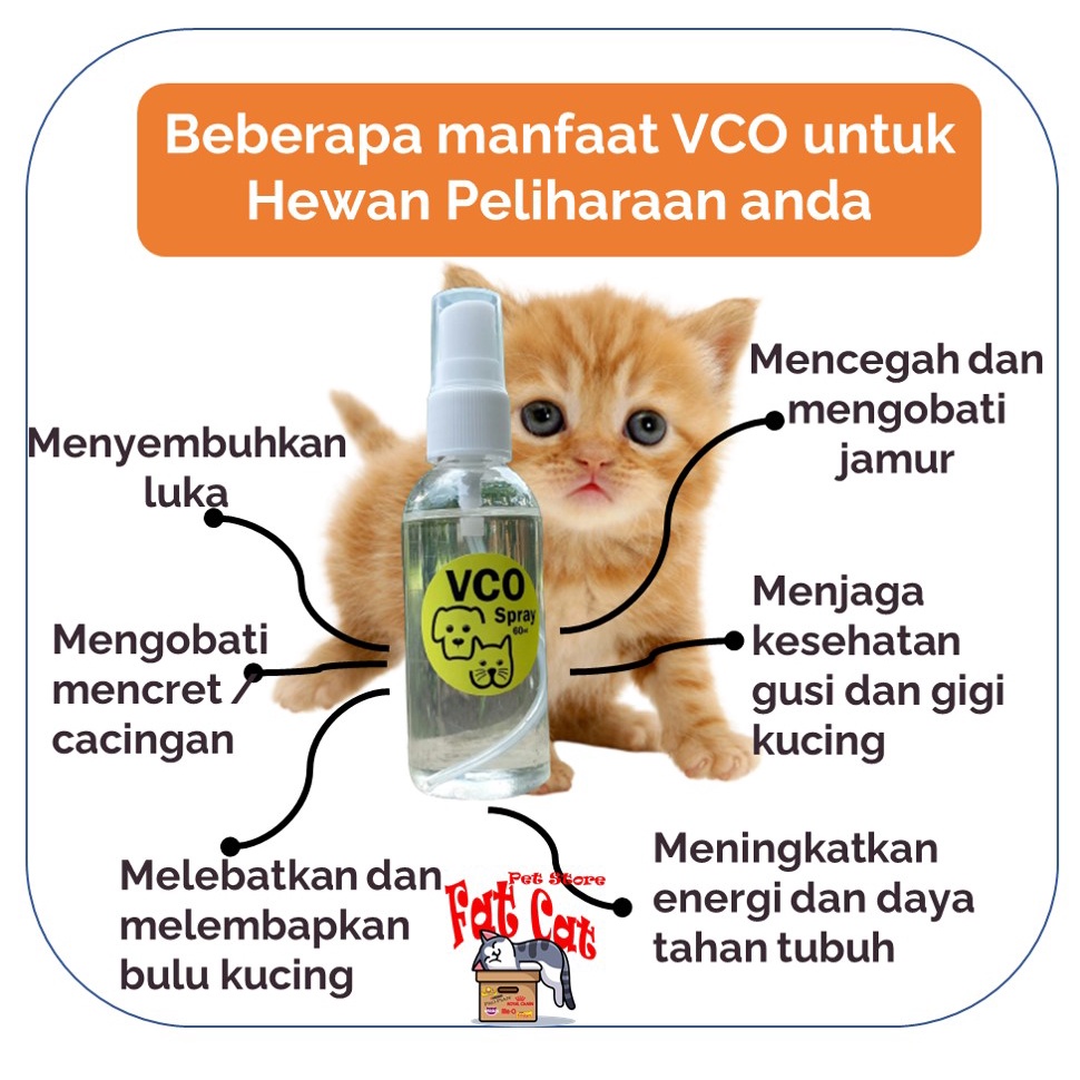 Virgin Coconut Oil 60ml Spray obat jamur kucing VCO