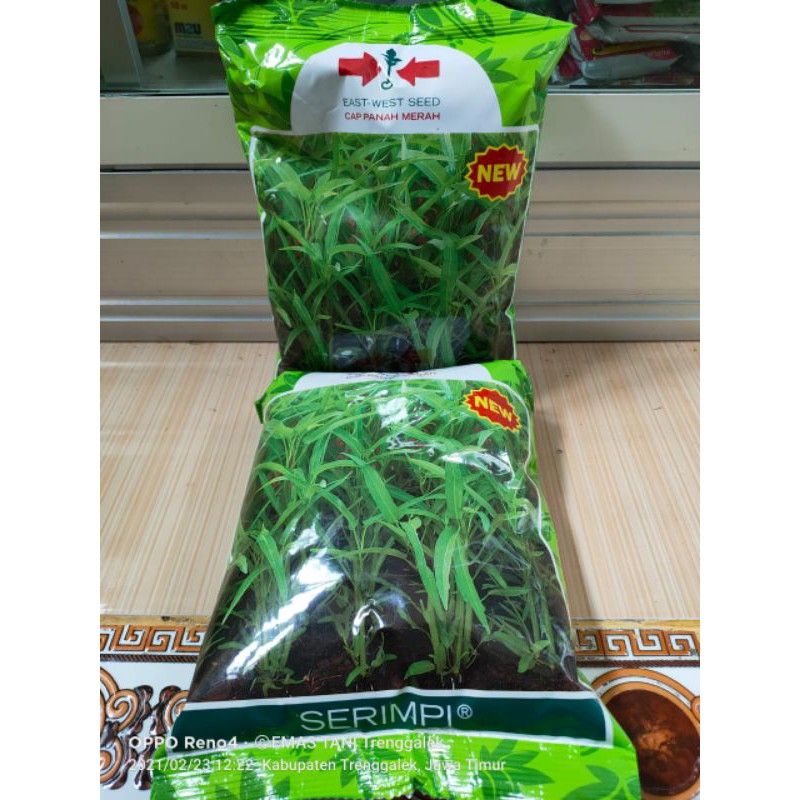 Benih Kangkung SERIMPI